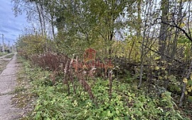 ��������� ������� 15 ���.