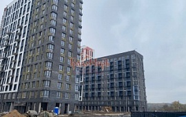 98.1 кв.м.