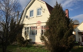 ��� 80.8 ��.�. �� ��. 11 ���.