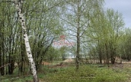   11 .