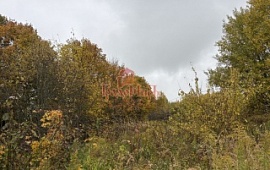 ��������� ������� 13 ���.