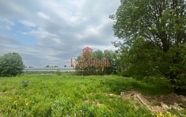 ��������� ������� 20 ���.