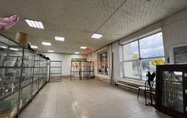 Автозапчасти 83 кв.м.