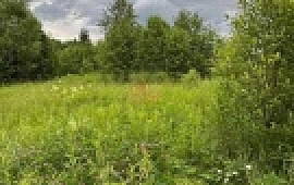 ��������� ������� 10 ���.