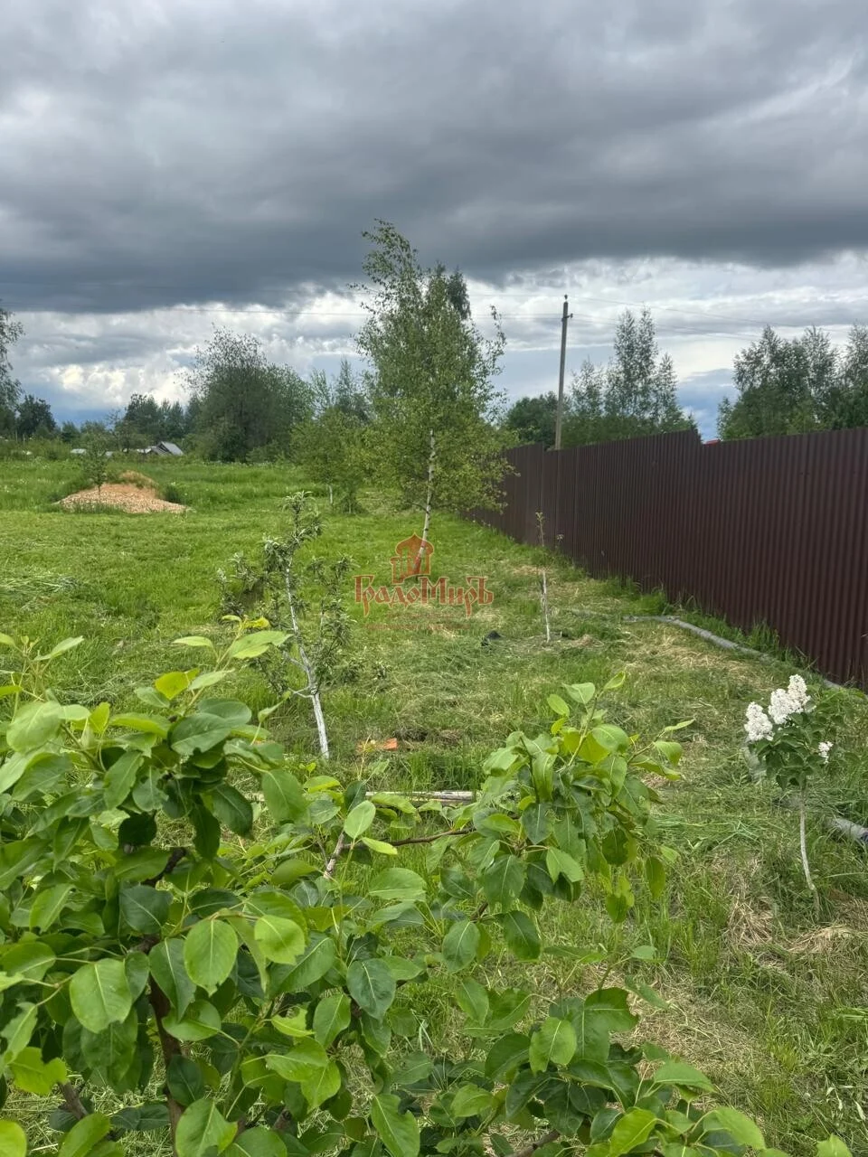 Участок, 15 сот., ИЖС