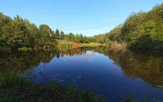 Участок, 43 сот., Личное подсобное хозяйство