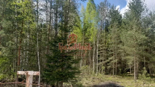 Участок, 12 сот., Садоводство
