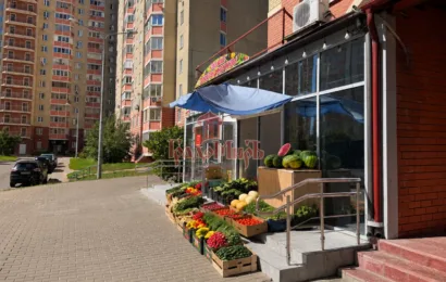 1 комн. Коммерция 16.5 кв. м, Московская область, Балашихинский район, Балашиха г., Дмитриева ул., д.6