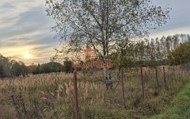 ��������� ������� 15 ���.