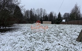 ��������� ������� 12 ���.