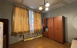 ������� 61.5 ��.�. � 3-���. ��������