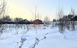 ��������� ������� 12 ���.