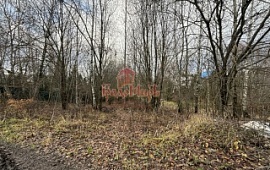 ��������� ������� 5.5 ���.