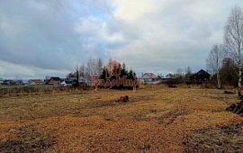 ��������� ������� 14 ���.