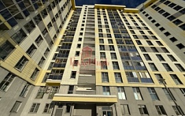 1-���. �������� 35.6 ��.�.