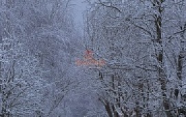 ��������� ������� 10 ���.