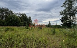 ��������� ������� 38 ���.