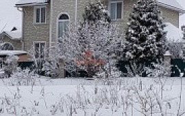 ��� 290 ��.�. �� ��. 8 ���.