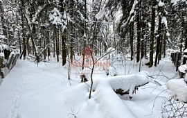 ��������� ������� 5.4 ���.