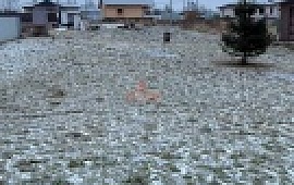 ��������� ������� 6 ���.