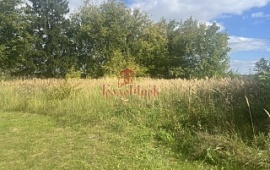 ��������� ������� 6 ���.