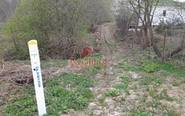 ��������� ������� 21 ���.