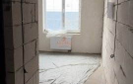 ��������-������ 31.3 ��.�.